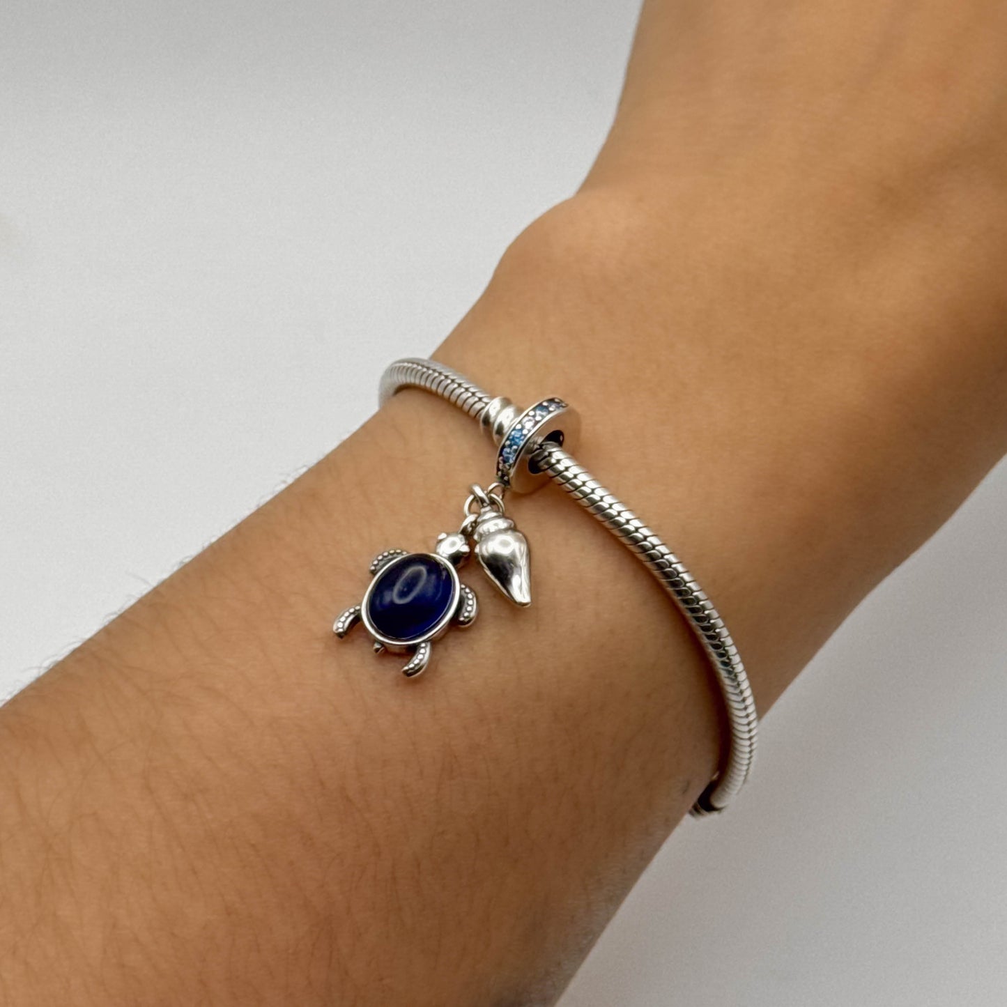 Charm Tortuga y Concha