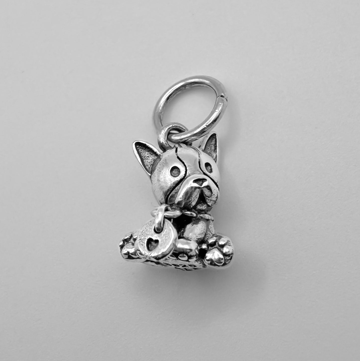 Charm perrito