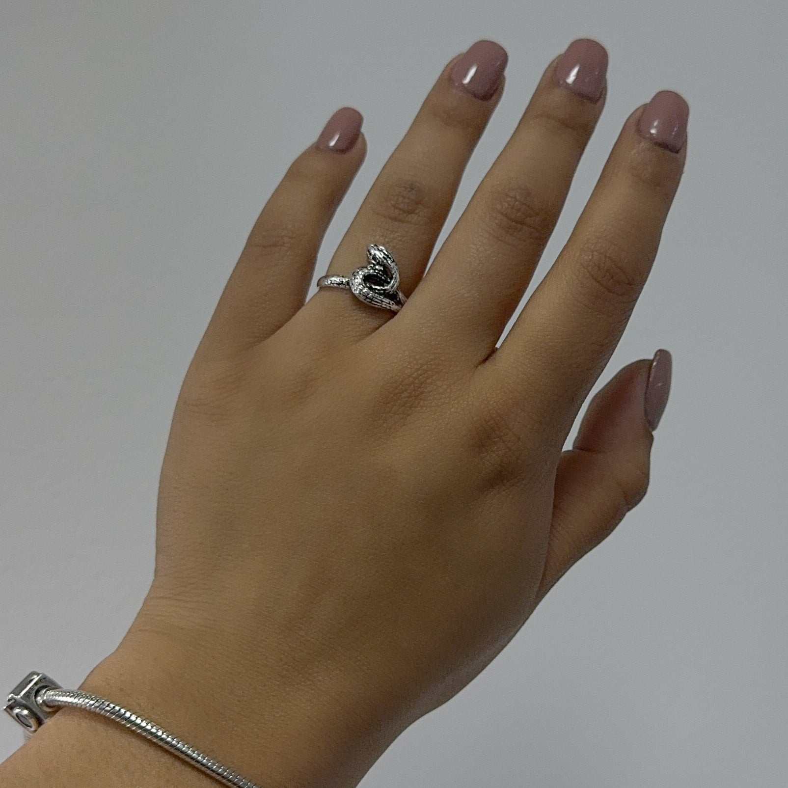 Anillo serpiente