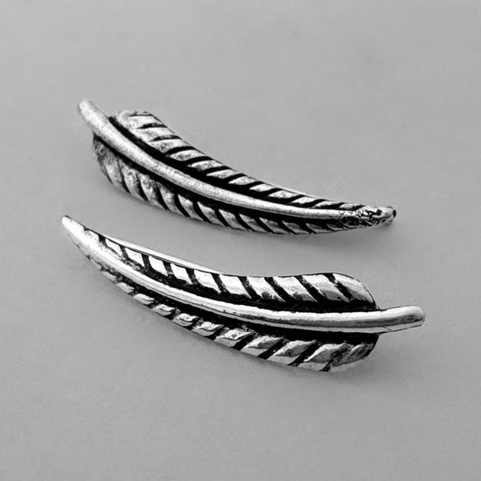 Aretas pluma