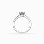 Anillo solitario fino en Plata Ley 925 talla 8 con piedra central transparente y banda con apliques brillantes sobre fondo neutro.