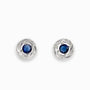 Topos Rosa  – Plata 925 y Circón Azul