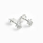 Topos con forma de tortuguita en plata ley 925 de 6x5 mm con circones blancos